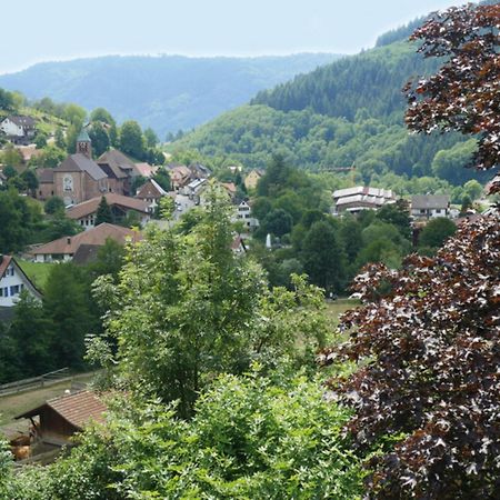 Schnurrenhof Apartment Seebach Exterior foto