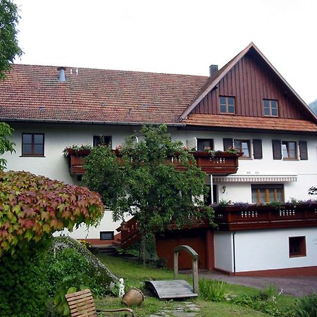 Schnurrenhof Apartment Seebach Exterior foto