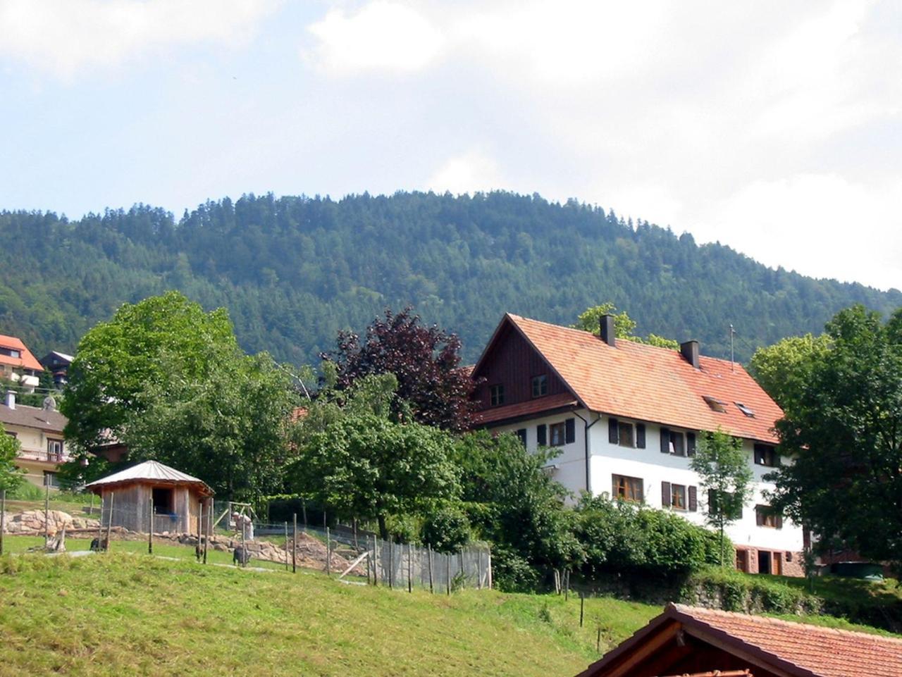 Schnurrenhof Apartment Seebach Exterior foto