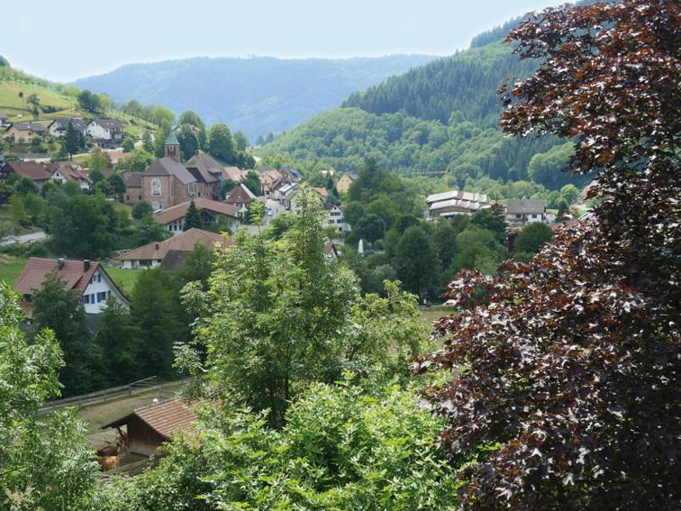 Schnurrenhof Apartment Seebach Exterior foto